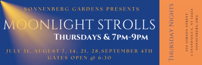 Moonlight Strolls- Connie Fredricks-Malone